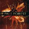 PALE FOREST 