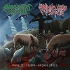 ANIMALS KILLING PEOPLE / ANDROMORPHUS REXALIA 