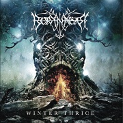 BORKNAGAR 