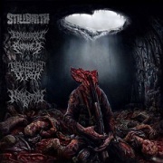 STILLBIRTH / DISFIGUREMENT OF FLESH / NEPHRECTOMY / CONGENITAL ANOMALIES 