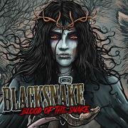 BLACKSNAKE 