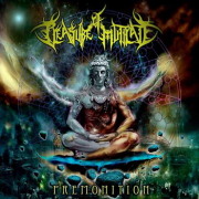 PLEASURE OF MUTILATE 