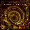 SOUND STORM 