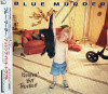 BLUE MURDER 