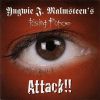 YNGWIE MALMSTEEN'S RISING FORCE 