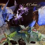 CELENE 