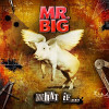 MR.BIG 