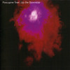 PORCUPINE TREE 