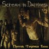 SCREAM IN DARKNESS 