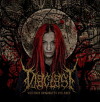 DIACLAST 