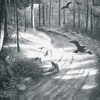 BURZUM 